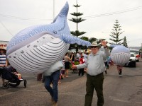 ENTRIES OPEN FOR STREET PARADE