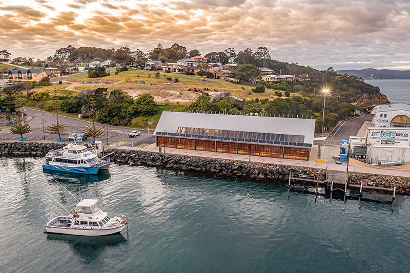 Program Eden Whale Festival